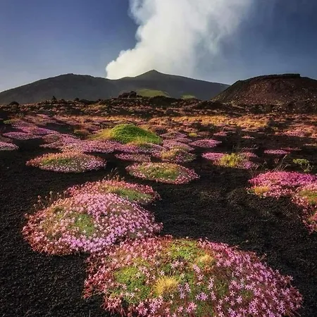 Bentivoglio Holiday home Piazza Armerina