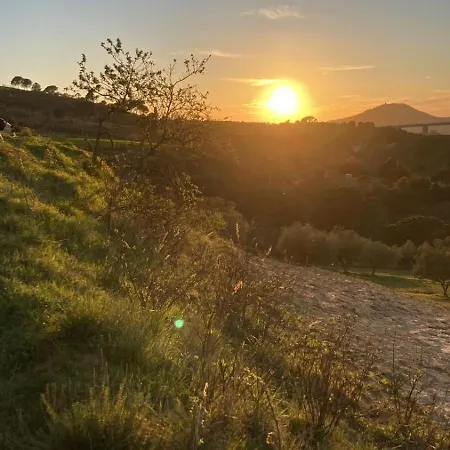 Bentivoglio *