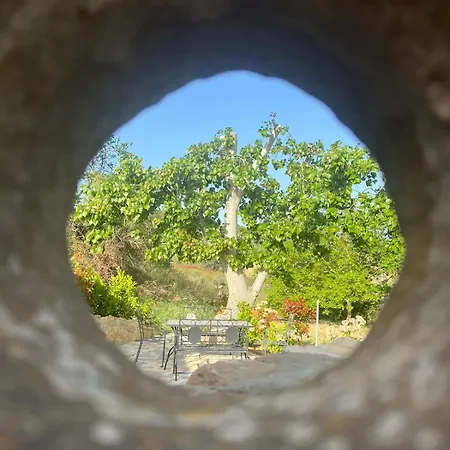 Bentivoglio Piazza Armerina