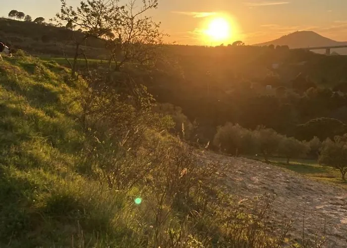 Bentivoglio *